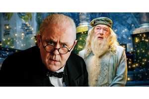 "I Always Had My Eyes On...": Pierce Brosnan Would Have Said "Yes" To Playing One Iconic Harry Potter Character If Given The Offer