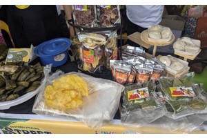 DOT Eastern Visayas pushes promotion of local food to tourists