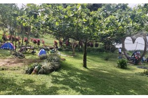 Mahagnao Volcano and Natural Park emerges as new camping site in Leyte