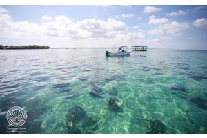 Silaki Island, PH’s giant clam capital to get infra boost