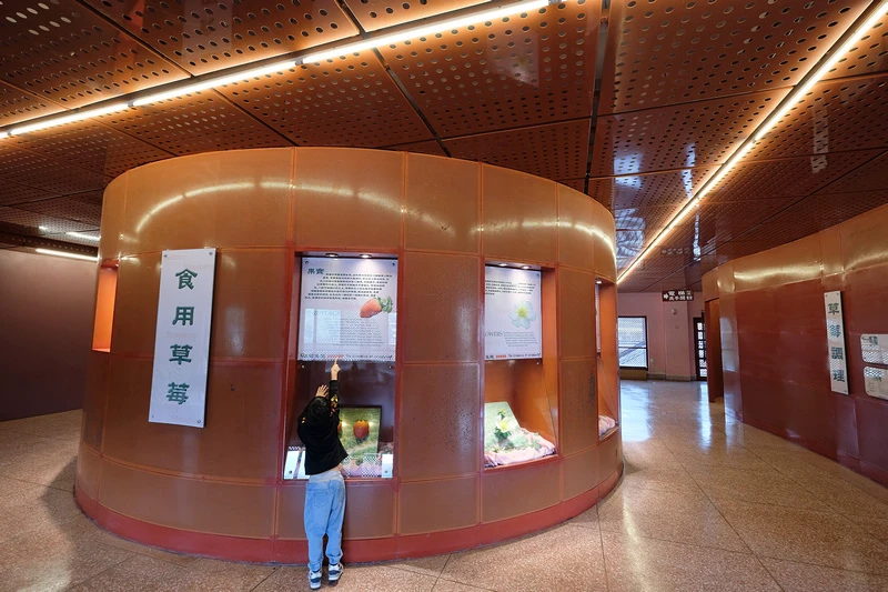 【苗栗】大湖酒莊＆草莓文化館：冰淇淋泡芙必買！免門票採草莓吃