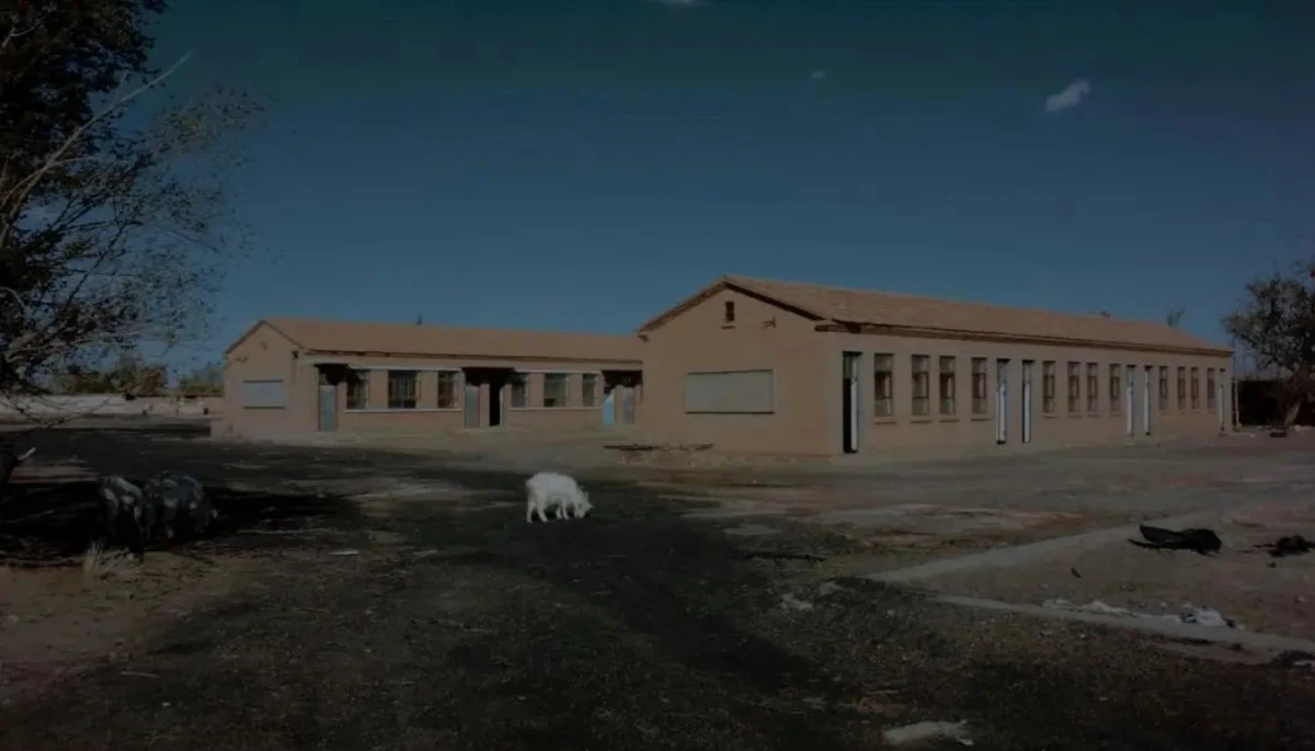 20231031_1698740443408743.jpg 10月30日4290 拷贝.jpg