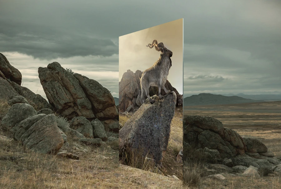 20231031_1698741480893185.jpg 10月30日7845 拷贝.jpg