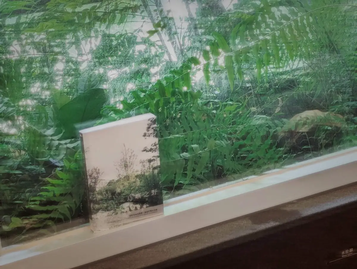 打開房間中的《島嶼之野》，在溫泉池樂享綠植之景。攝影／高麗音