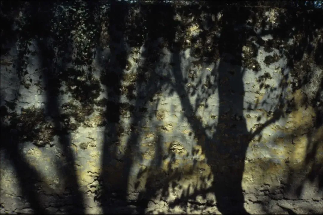 20231031_1698741676384872.jpg 6.jpg