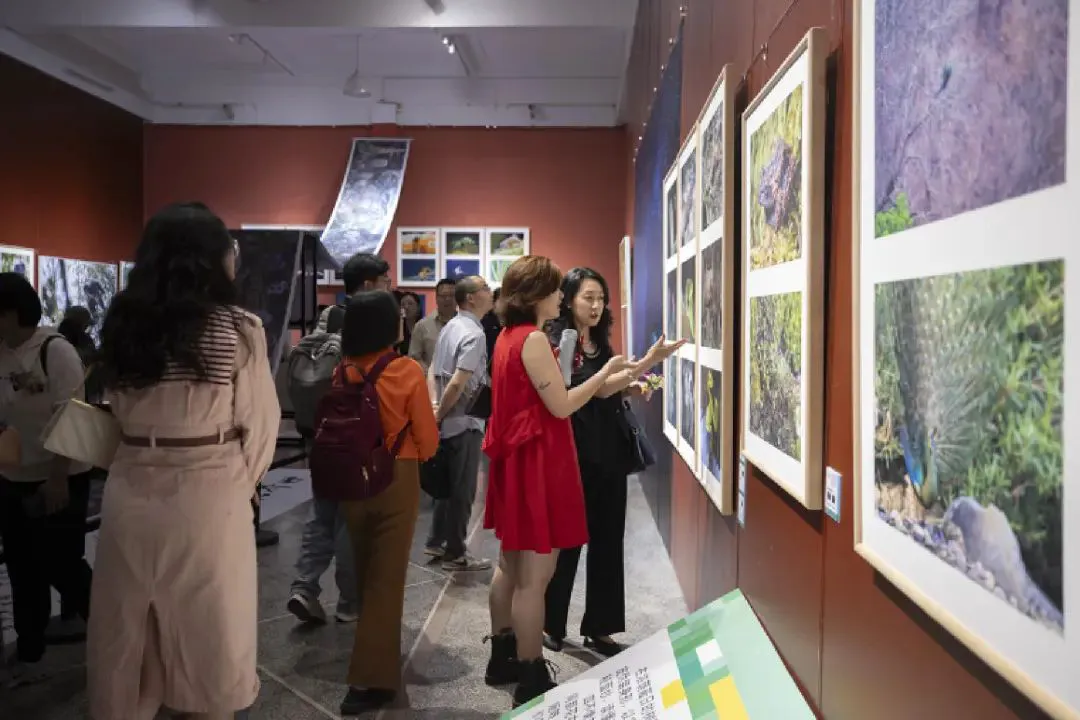 20250520_1747704008518633.jpg image015.jpg