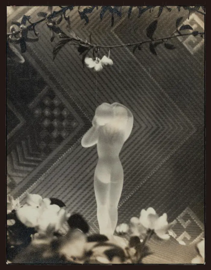 20241017_1729141001545223.jpg w700d1q75cms.jpg