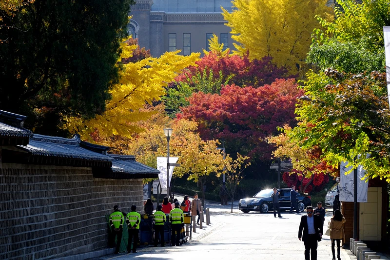 【首爾】德壽宮石牆路：韓國公認最美小路賞楓必去！門票＆免費韓