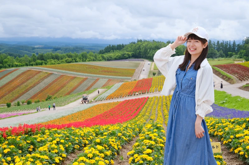 【北海道】四季彩之丘：彩虹般的花田絕色美景！美瑛必去景點超驚