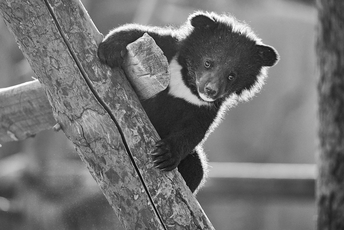 20250508_1746687331168459.jpg 微信图片_20250508144743.jpg