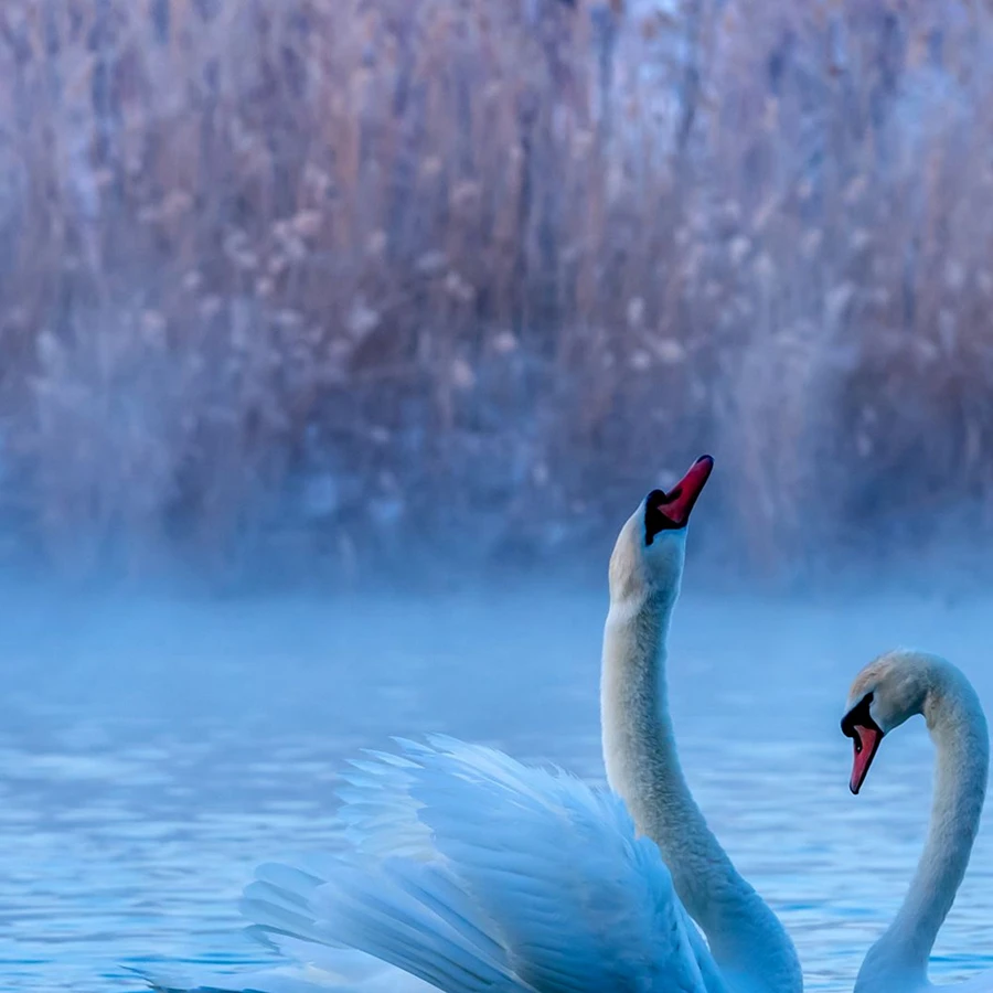 20231225_1703494953845137.jpg 1271 拷贝.jpg