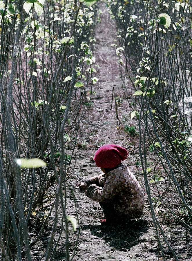 QQ20250326-160035 拷贝.jpg