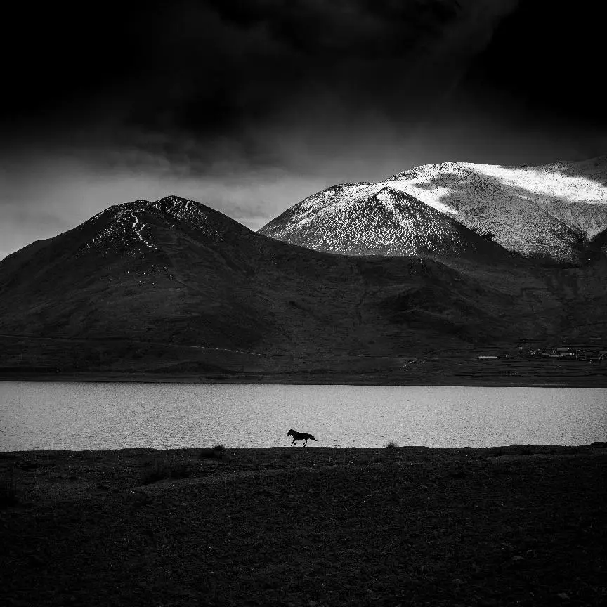 20240325_1711345287272182.jpg b747a677c6bb4e29a9a71c33afacdbaf_noop.jpg