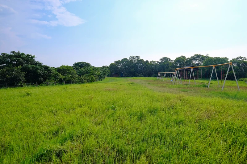 【新竹】青青草原：54公尺長溜滑梯、五大草原、健行步道，免門