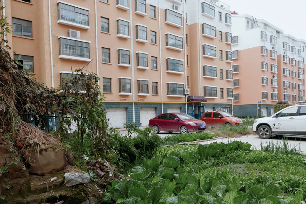 QQ20250326-161909 拷贝.jpg