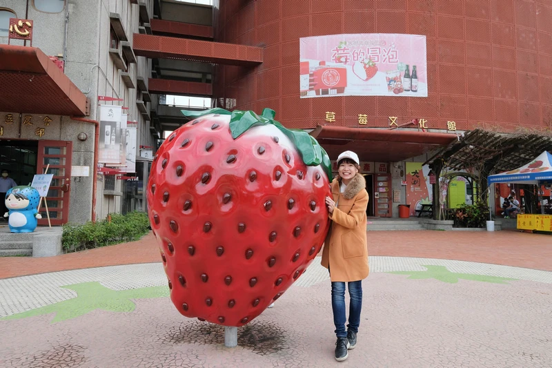 【苗栗】大湖酒莊＆草莓文化館：冰淇淋泡芙必買！免門票採草莓吃
