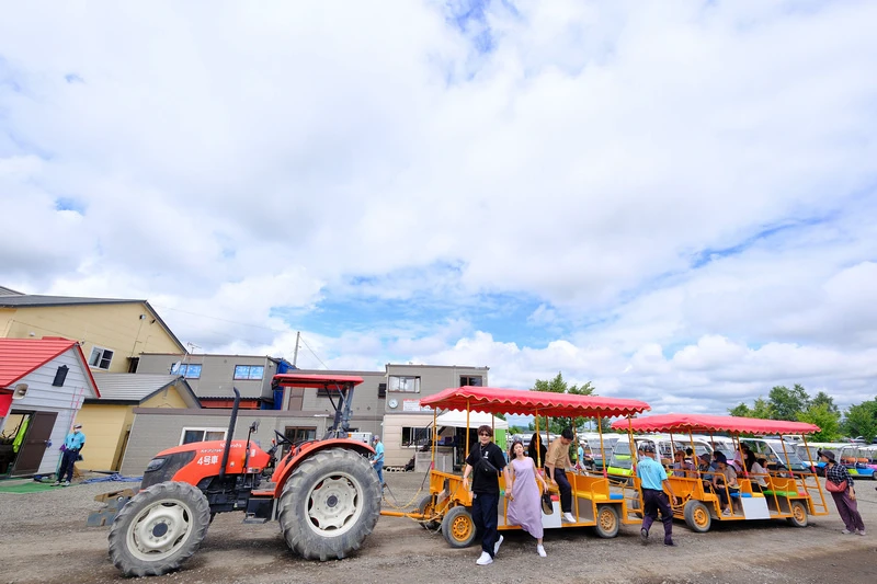 【北海道】四季彩之丘：彩虹般的花田絕色美景！美瑛必去景點超驚