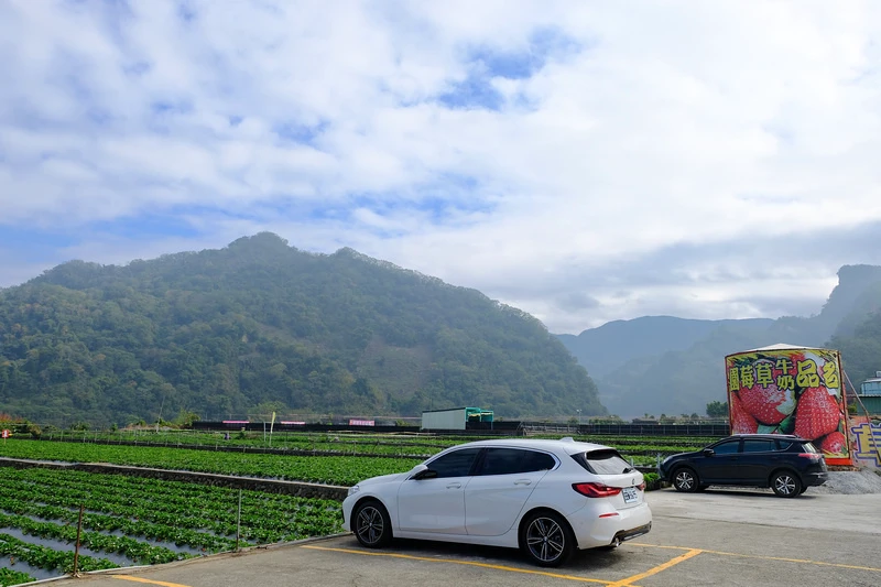 【2024苗栗大湖草莓季推薦】7家超人氣大湖採草莓草莓園農場