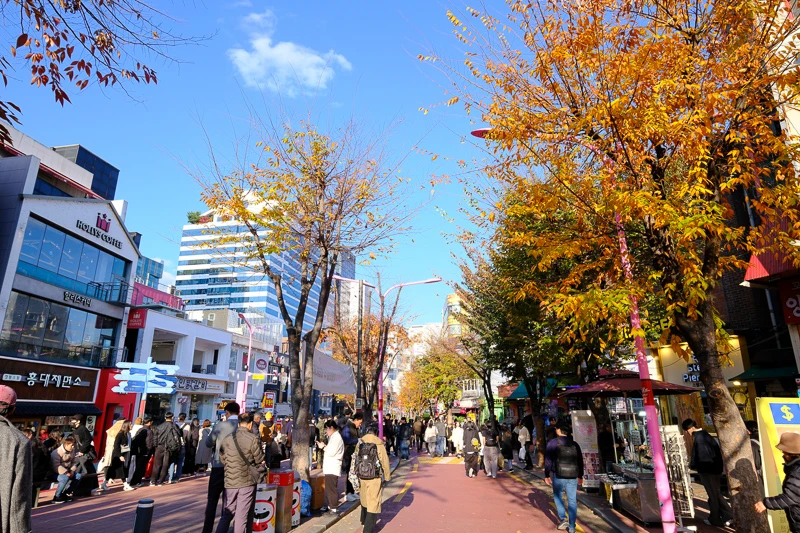 【2025弘大商圈攻略】首爾最有活力逛街聖地！美食景點、換錢住宿＆地圖彙整