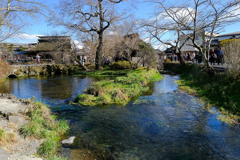 【河口湖】忍野八海：必去富士山湧泉群！日本名水百選交通美食彙