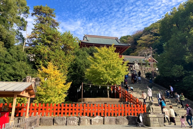 【鎌倉】鶴岡八幡宮
