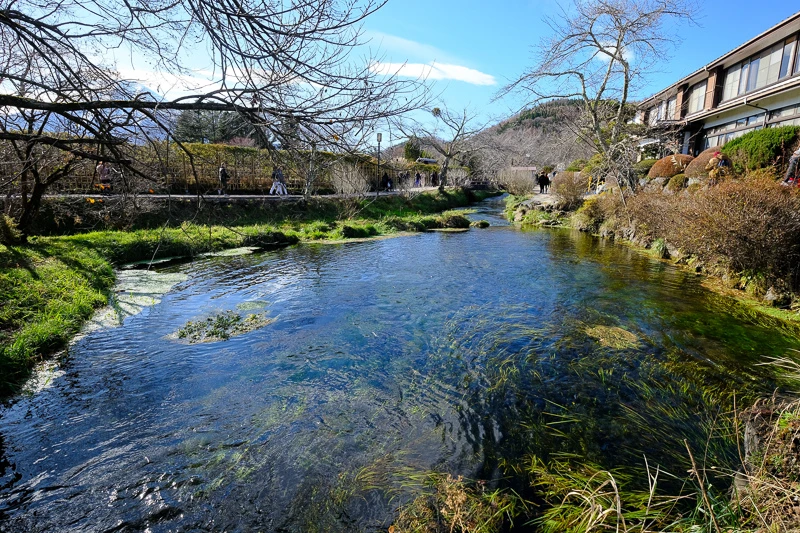 【河口湖】忍野八海：必去富士山湧泉群！日本名水百選交通美食彙