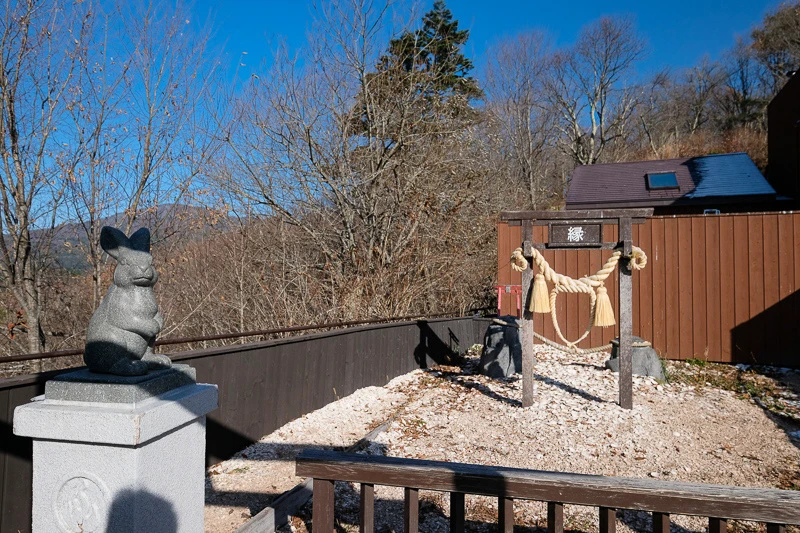 【天上山公園】必搭河口湖纜車！制高點眺望富士山全景＆超酷景觀