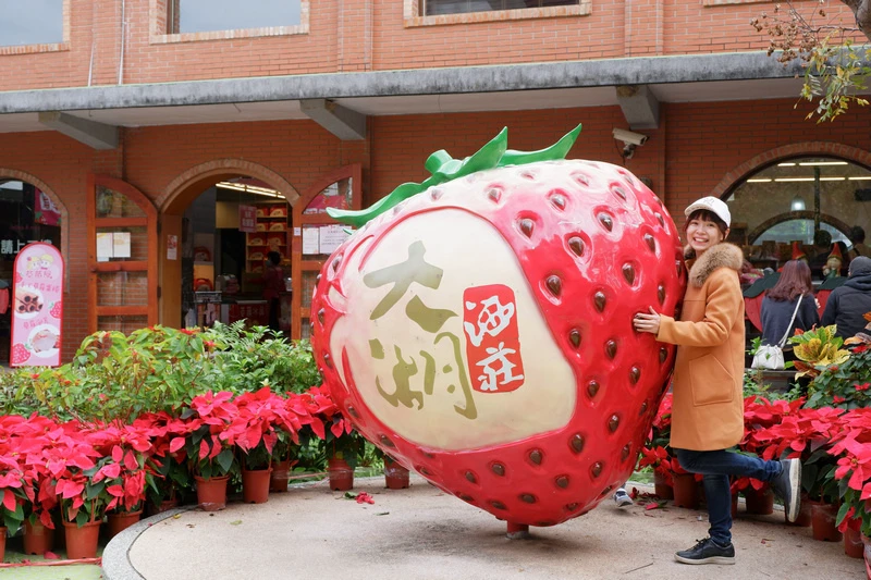 【苗栗】大湖酒莊＆草莓文化館：冰淇淋泡芙必買！免門票採草莓吃