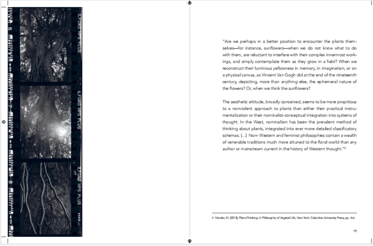 第二届泉州890 拷贝.jpg