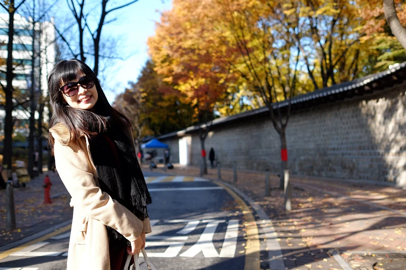 【首爾】德壽宮石牆路：韓國公認最美小路賞楓必去！門票＆免費韓