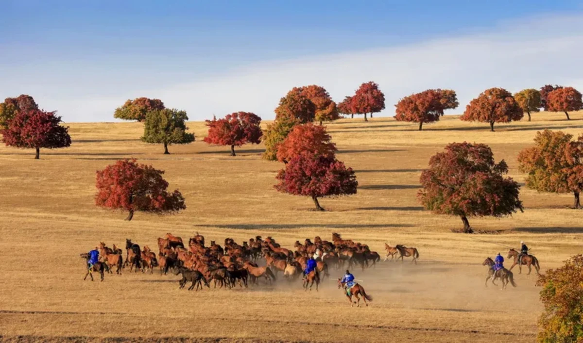 20241212_1733966292208787.jpg 12月的北京天清气朗1598 拷贝.jpg