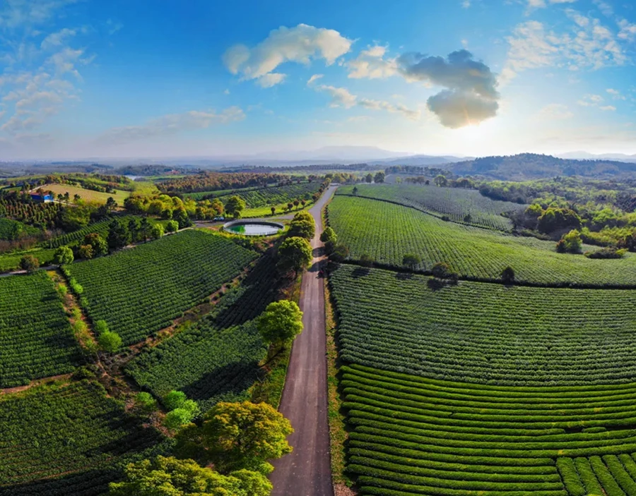 20240920_1726814570312311.jpg 金秋九月2658 拷贝.jpg