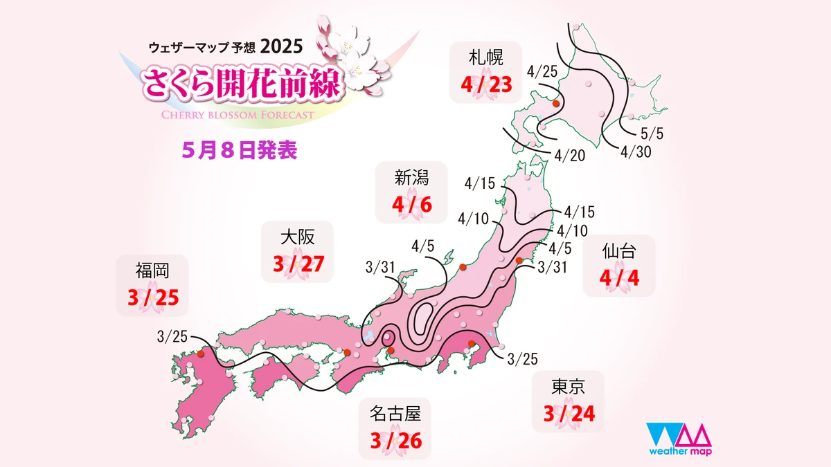 【日本櫻花前線預測】2025日本櫻花季賞櫻情報、滿開時間總整理(火熱更新)
