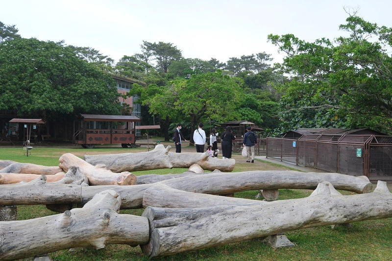 【沖繩】Bios之丘生態農場：遛山羊、湖中遊船、水牛車等親子