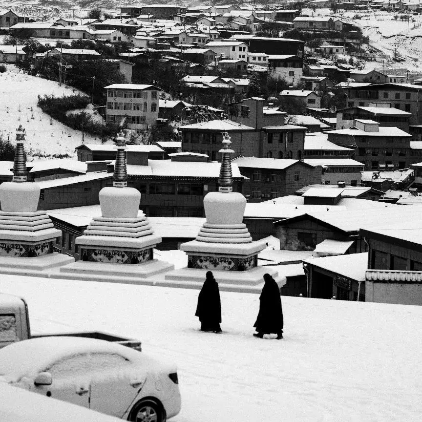 20240325_1711345337200869.jpg d9dfa311c2674fae82acf59ea71c2137_noop.jpg