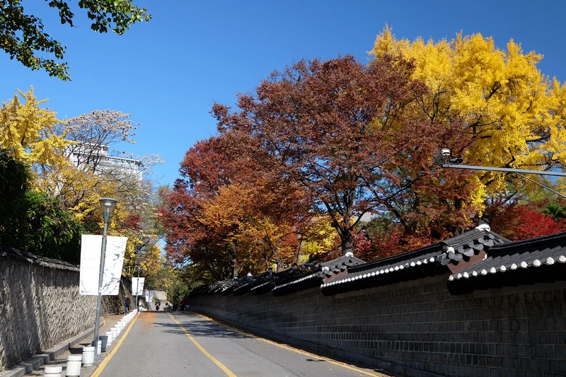 【首爾】德壽宮石牆路：韓國公認最美小路賞楓必去！門票＆免費韓