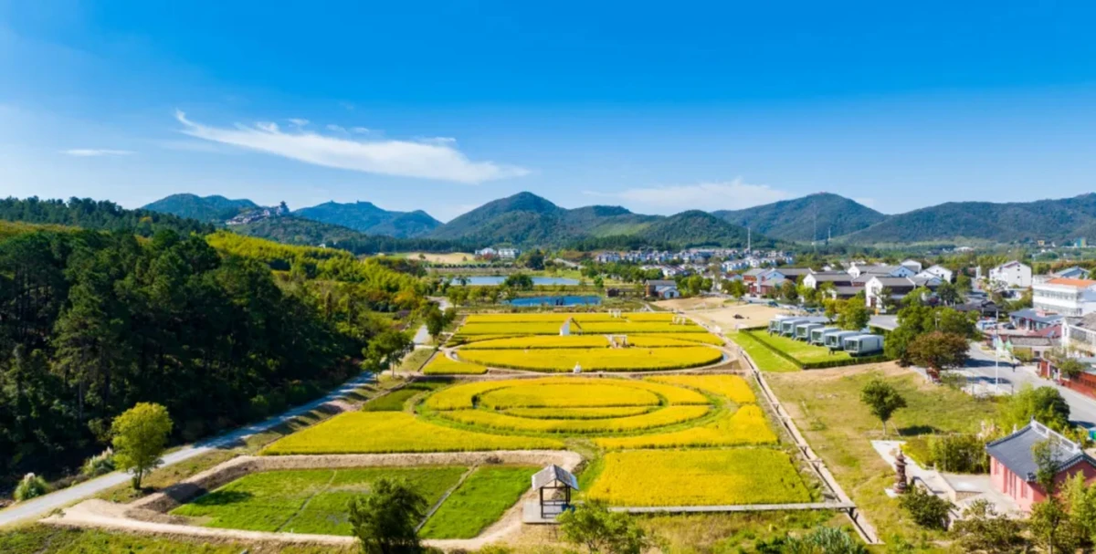 20240920_1726814610419631.jpg 金秋九月2714 拷贝.jpg