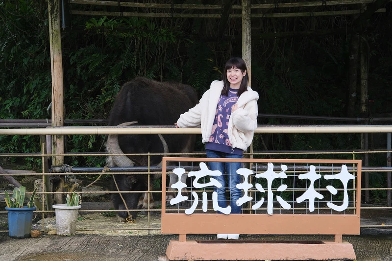 【沖繩】琉球村：重現古老沖繩！琉球王國主題公園人氣表演秀＆探