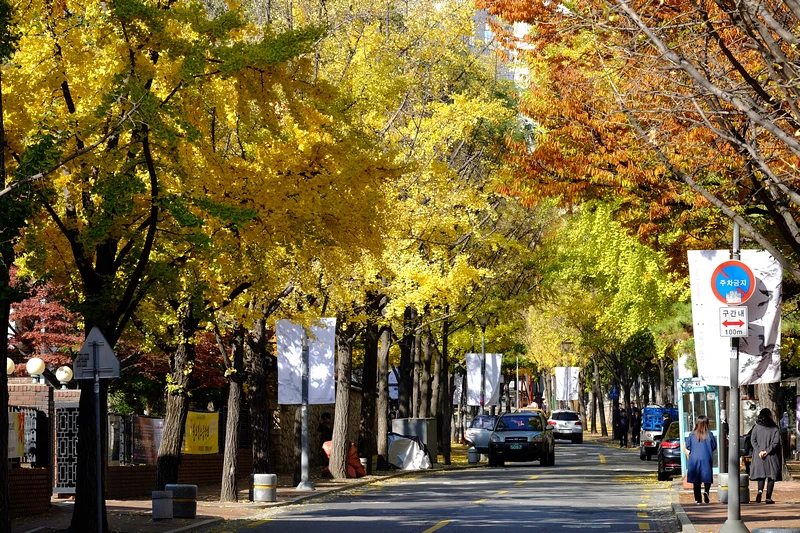 【首爾】德壽宮石牆路：韓國公認最美小路賞楓必去！門票＆免費韓