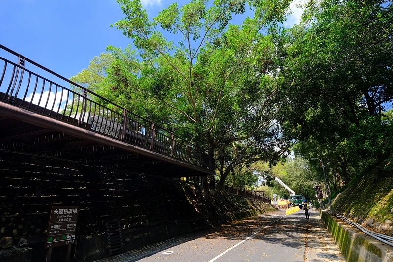 【台中】后豐鐵馬道：台中最受歡迎自行車道！租車推薦＆景點路線