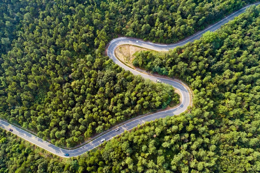 20240920_1726814580585039.jpg 金秋九月2668.jpg