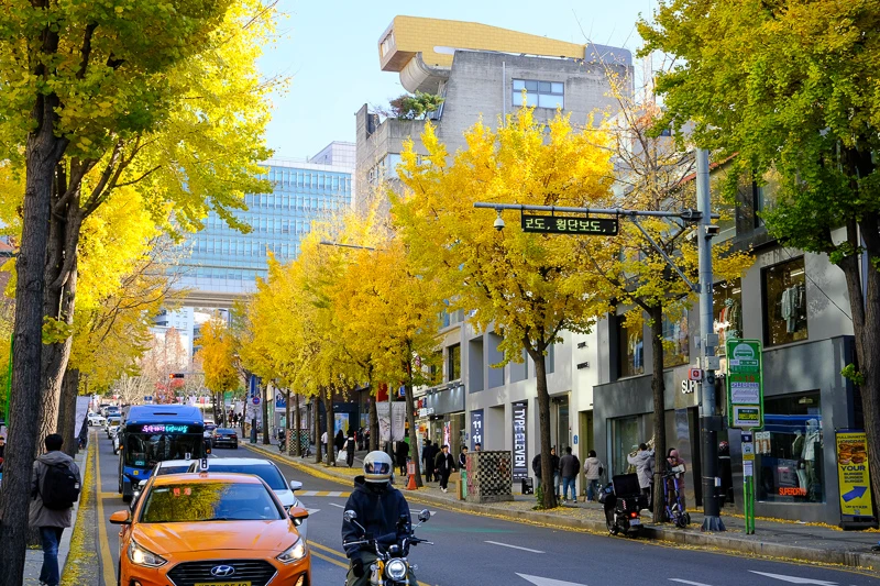 【2025弘大商圈攻略】首爾最有活力逛街聖地！美食景點、換錢住宿＆地圖彙整