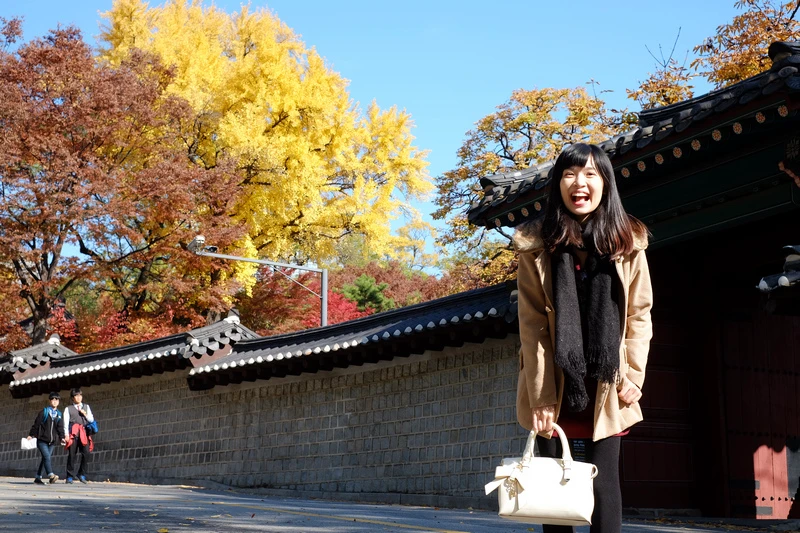 【首爾】德壽宮石牆路：韓國公認最美小路賞楓必去！門票＆免費韓