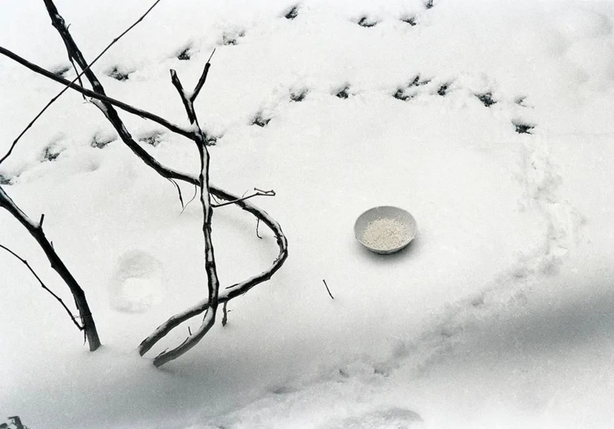 作为新中国第一代女摄影师12578 拷贝.jpg