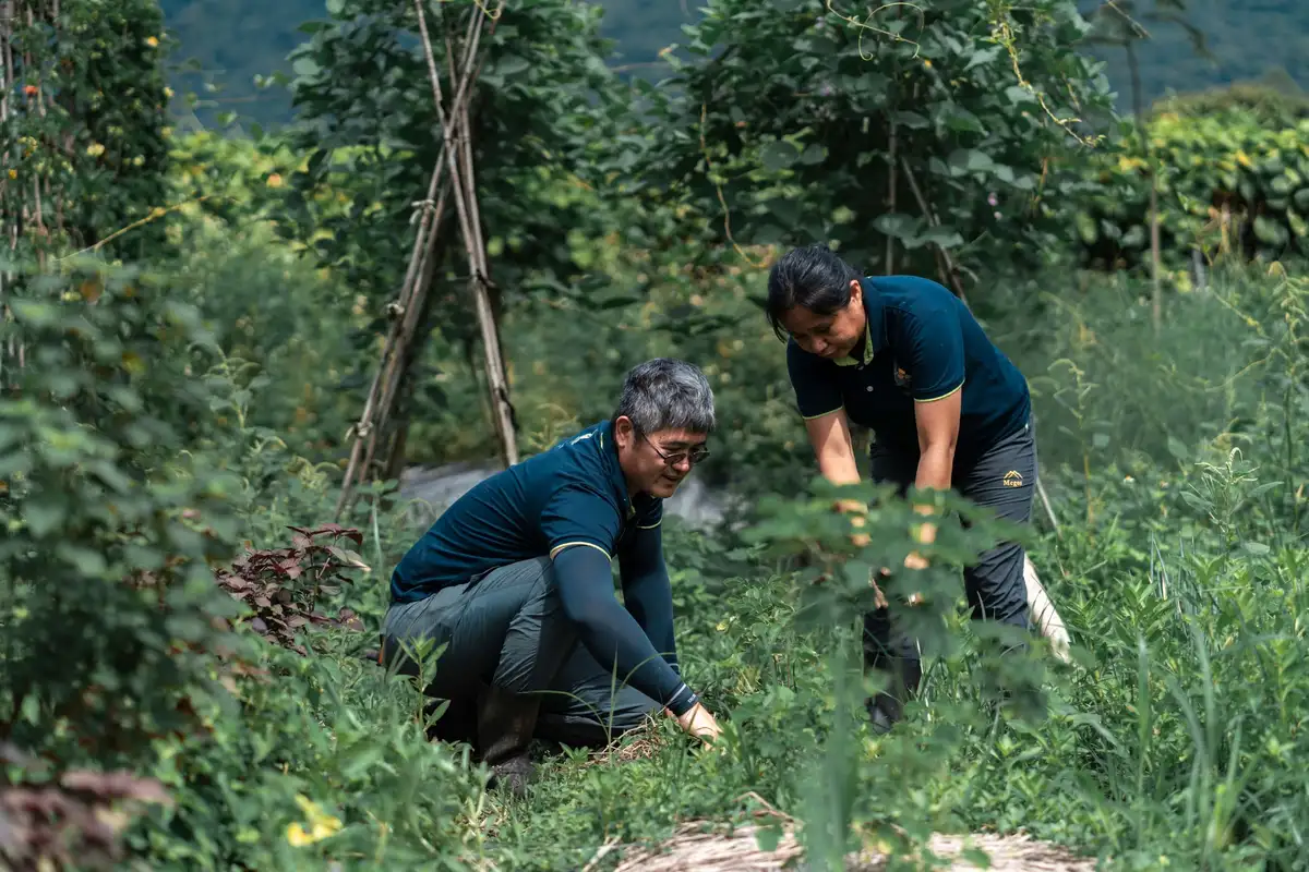 果子俠主理人鍾曜任與潘惠霞說：「果子俠的命名，其實是在提醒自己像俠客一樣，走對的路。」果子俠也以香氛為起始，帶領旅客重新學習與自然萬物相處。