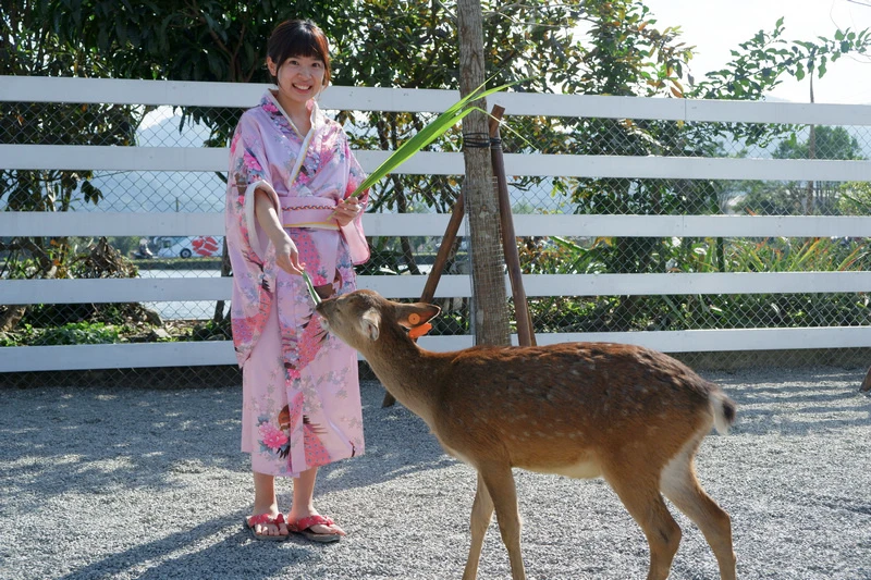 【宜蘭】張美阿嬤農場：餵水豚君、梅花鹿，還能穿和服！預約門票