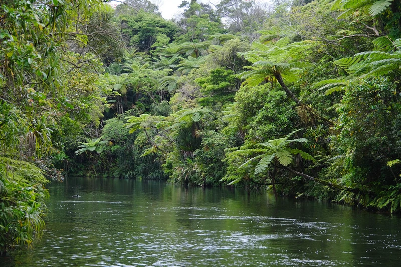 【沖繩】Bios之丘生態農場：遛山羊、湖中遊船、水牛車等親子