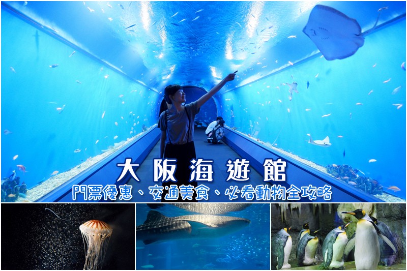 【大阪】海遊館:海豹企鵝鯨鯊、觸摸魟魚必看!門票優惠&交通美 大阪海遊館