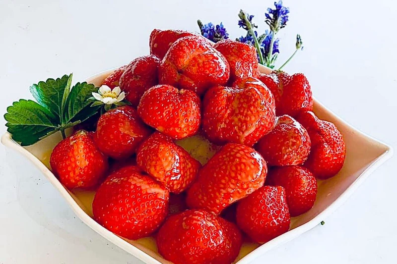 【2024苗栗大湖草莓季推薦】7家超人氣大湖採草莓草莓園農場