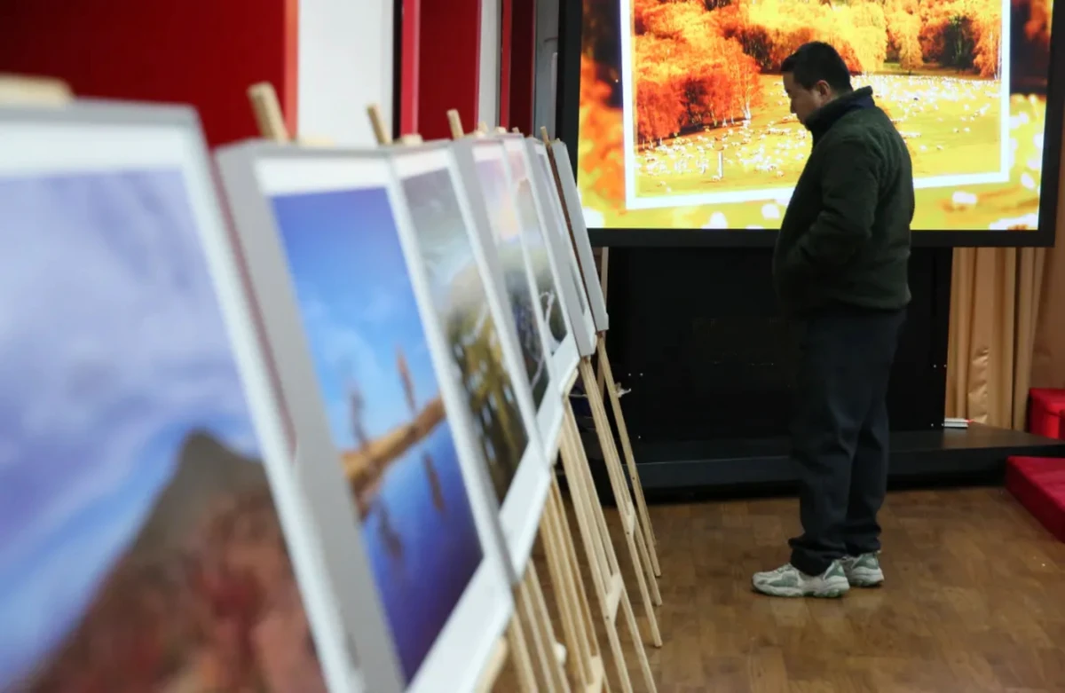 20241212_1733966200642568.jpg 12月的北京天清气朗1252 拷贝.jpg